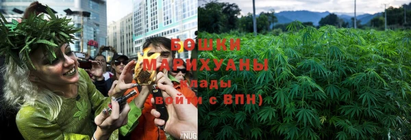 PSILOCYBIN Богородск