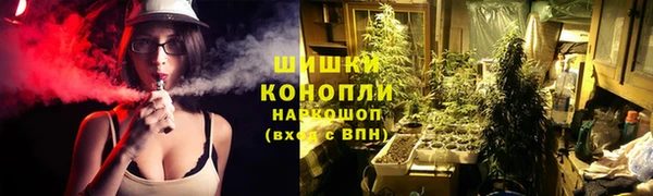 PSILOCYBIN Богородск